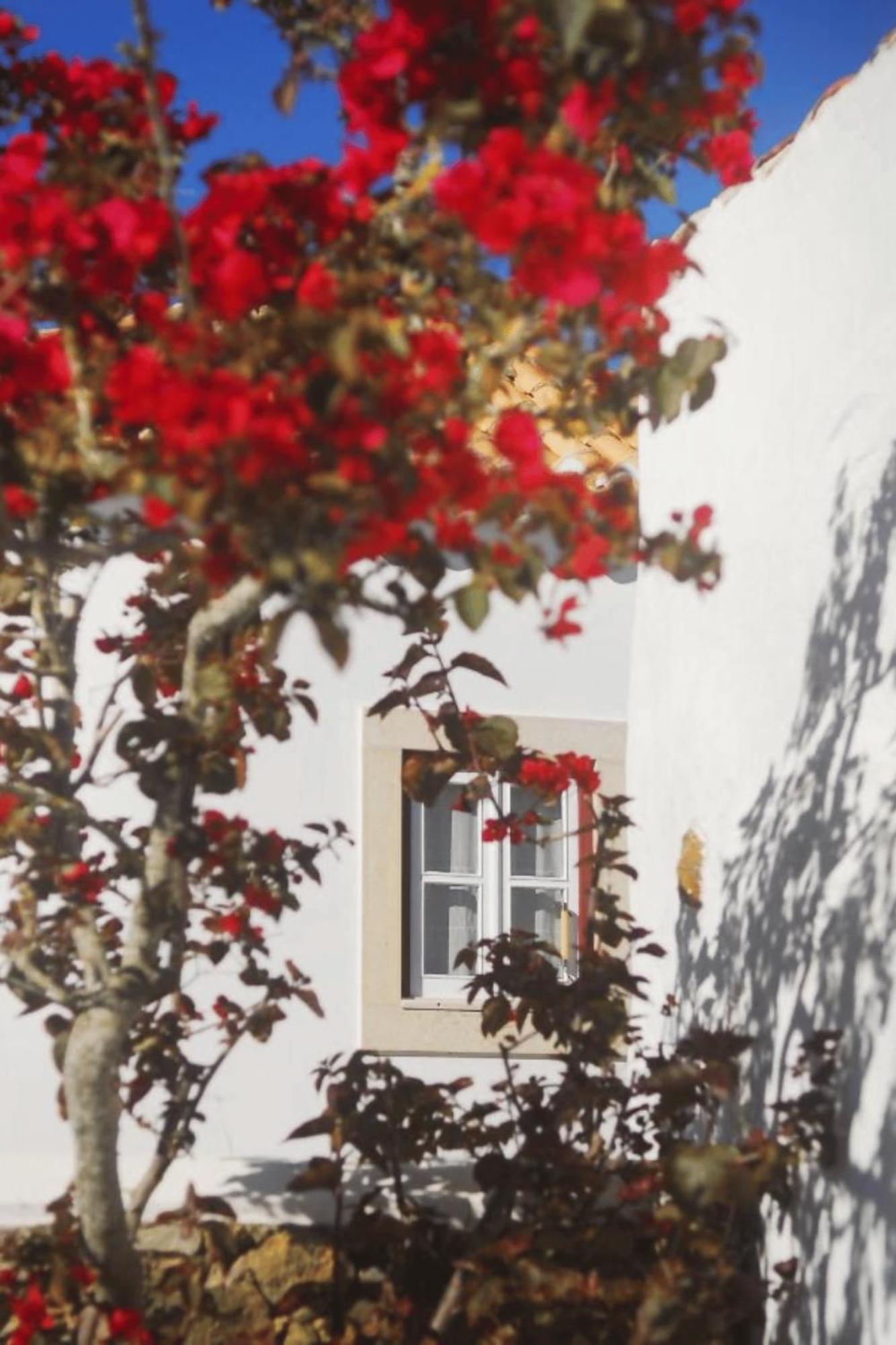 Casas Da Tia Alice - Casas De Campo Encantadoras Em Mafra Bagian luar foto