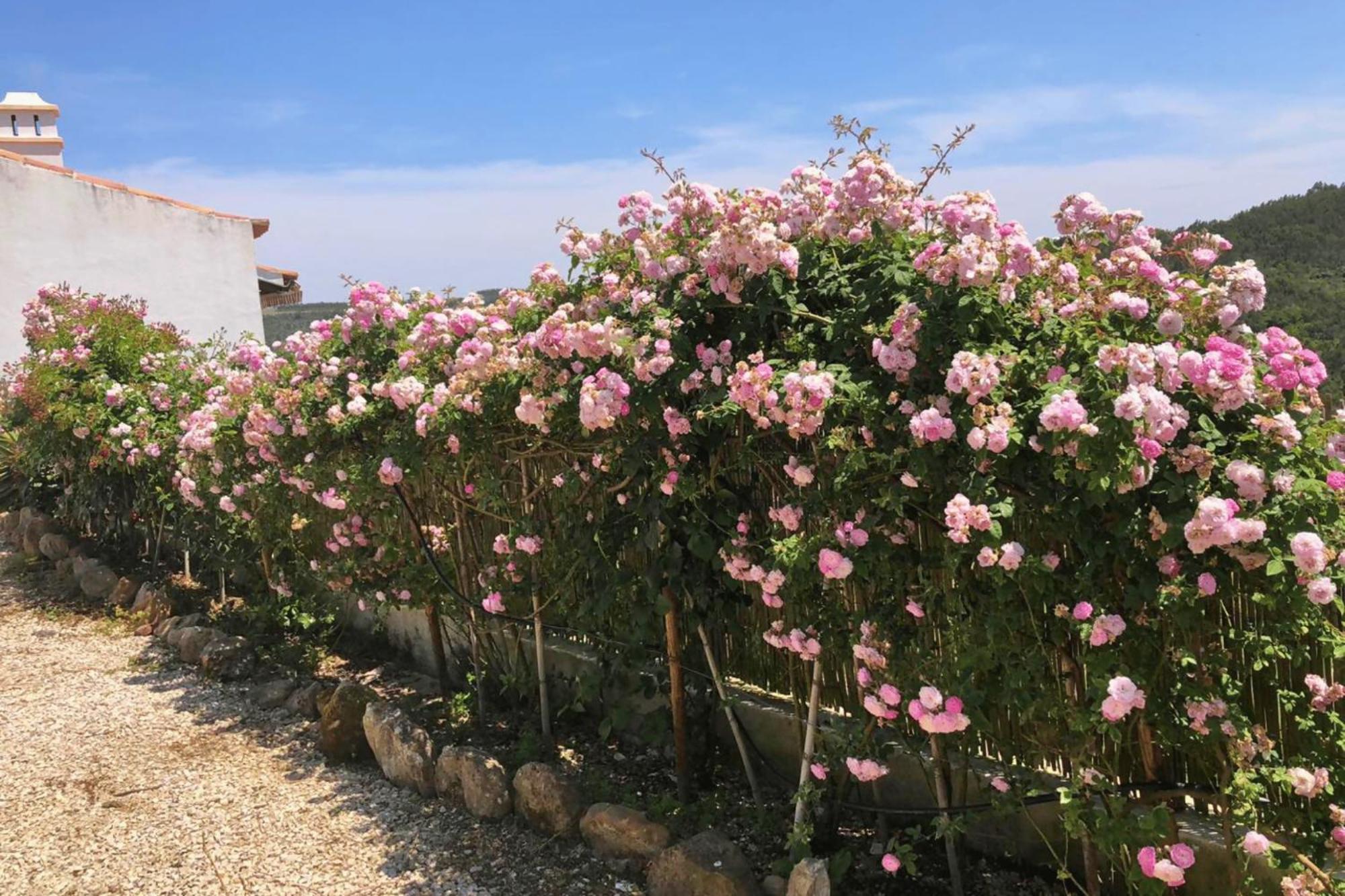 Casas Da Tia Alice - Casas De Campo Encantadoras Em Mafra Bagian luar foto
