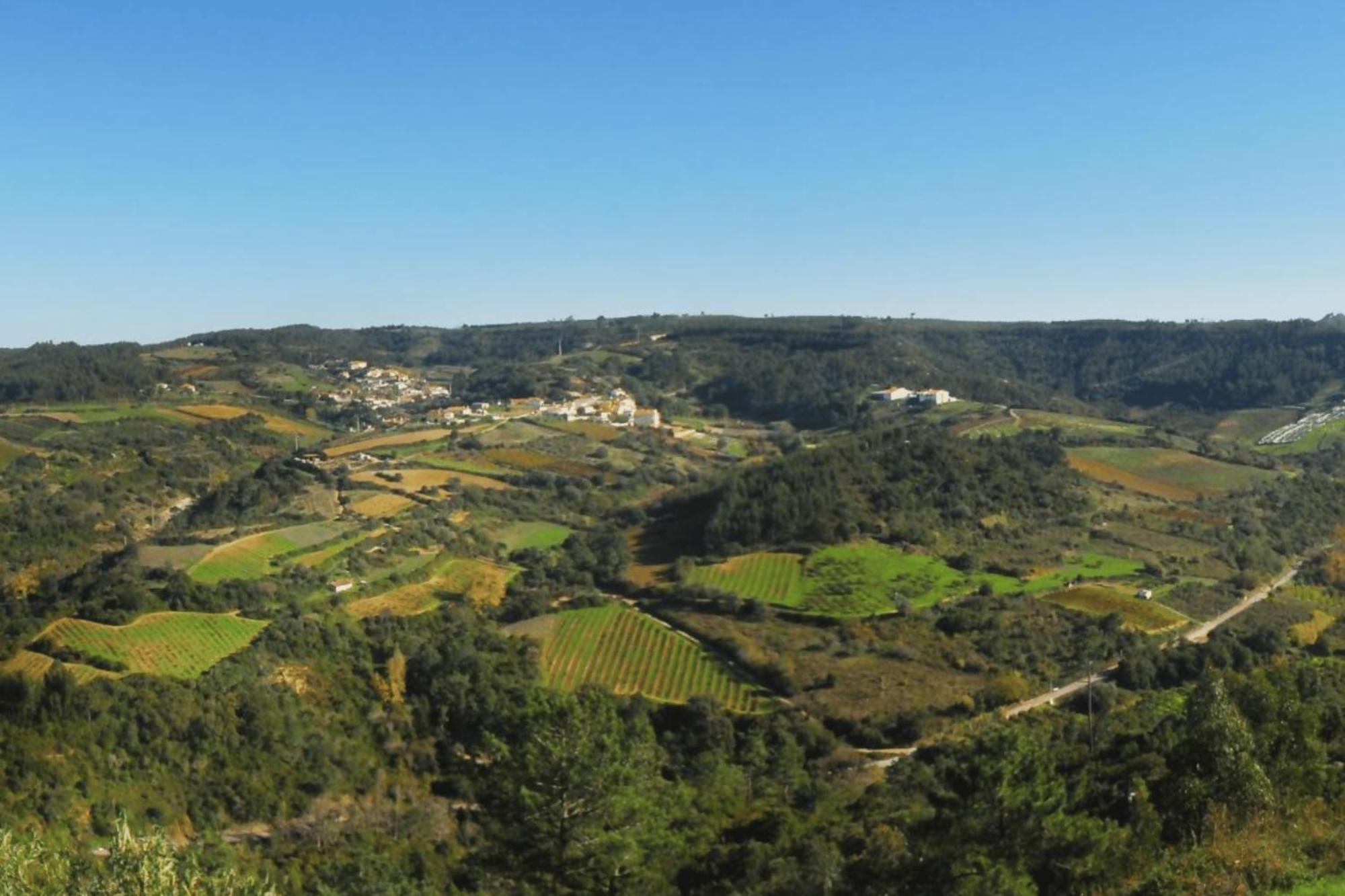 Casas Da Tia Alice - Casas De Campo Encantadoras Em Mafra Bagian luar foto