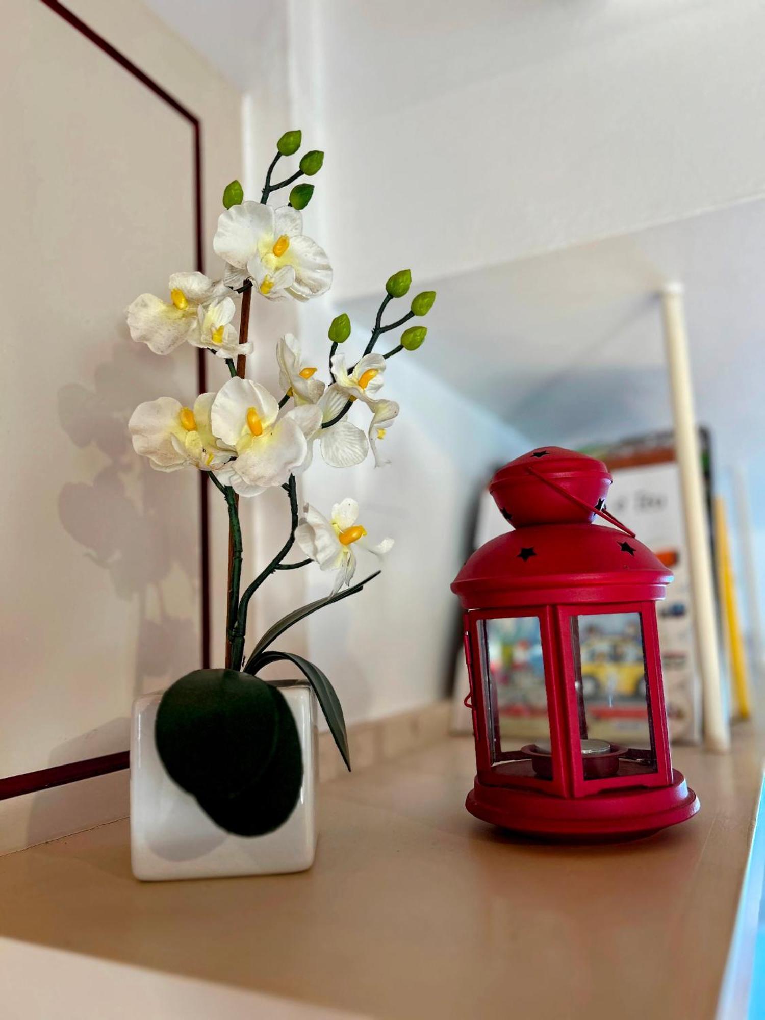 Casas Da Tia Alice - Casas De Campo Encantadoras Em Mafra Bagian luar foto